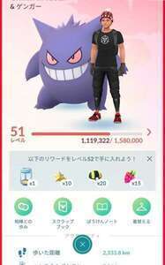 TL51 引退  ミュウツー個体値MAX 伝説色違い多数|ポケモンGO