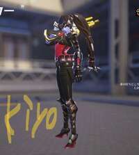 ow1予約特典ノワール，リーグ・入手不可激レアスキン多数　廃課金古参アカウント|オーバーウォッチ2(OW2)