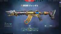 引退垢 課金額7万以上 Arcaneヴァンダル|VALORANT(ヴァロラント)