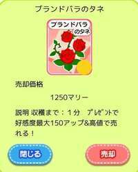 ブランドバラのタネ 50個  最安値   ブランド薔薇|農園婚活